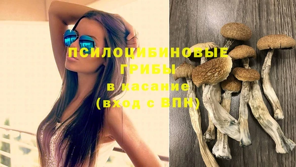 прущие крисы Армянск